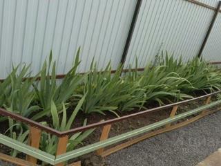 1-этажный дом, 102 м², 12 соток