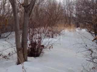 1-этажный дом, 48.9 м², 1 сотка