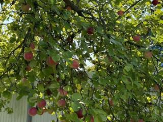 2-этажный дом, 70 м², 7 соток