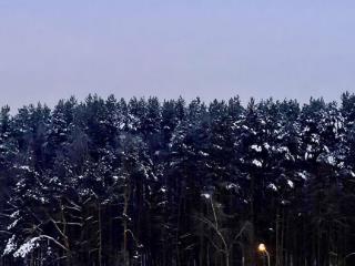 2-комн. квартира, 50.3 м², 6/14 этаж