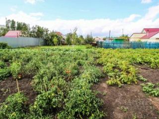 1-этажный дом, 120 м², 24 сотки