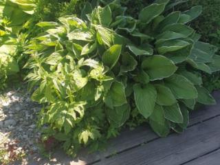 1-этажный дом, 80 м², 25 соток