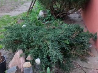 1-этажный дом, 56.4 м², 8.5 соток