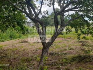 1-этажный дом, 46 м², 22 сотки