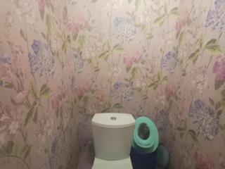 1-этажный дом, 95.1 м², 9.9 соток