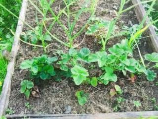 1-этажный дом, 27 м², 6 соток