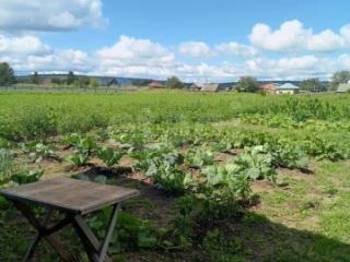 1-этажный дом, 85 м², 35.2 соток