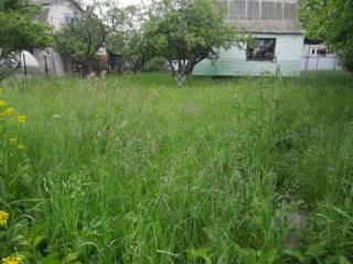 1-этажный дом, 40 м², 6 соток