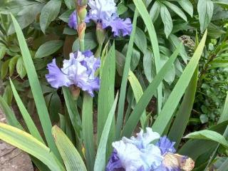 1-этажный дом, 56.4 м², 8.5 соток