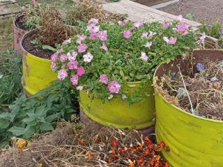  коттедж, 10 м², 11 соток