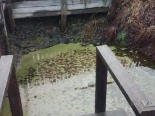  дом, 80 м², 17 соток