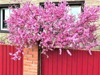 1-этажный дом, 87.5 м², 9.4 соток