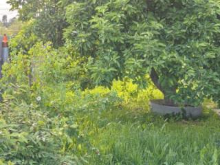 1-этажный дом, 76 м², 2 сотки