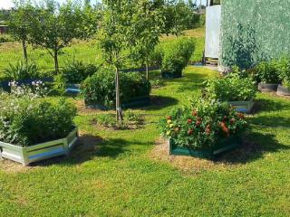  дом, 54 м², 25 соток