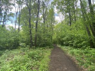 Студия, 13.6 м², 2/5 этаж