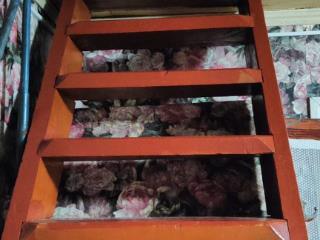  дом, 132 м², 10 соток