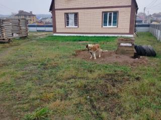 2-этажный дом, 187 м², 6 соток