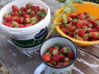 2-этажный дом, 61.5 м², 10.51 соток