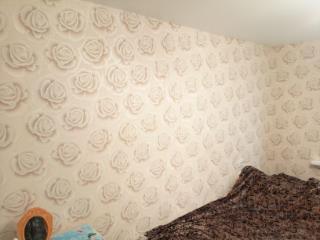 1-этажный дом, 53 м², 11 соток