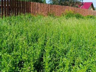  дом, 40 м², 13.3 соток