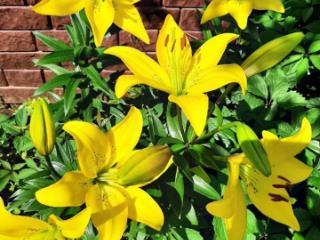 2-этажный дом, 70 м², 15 соток