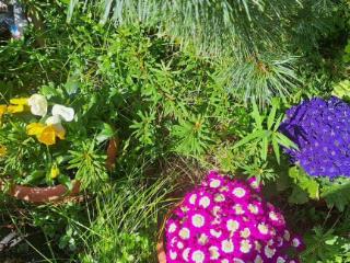  дом, 38 м², 7 соток