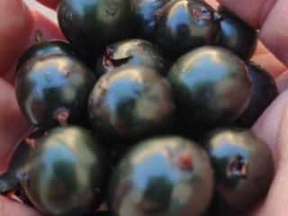 1-этажный дом, 63 м², 6 соток