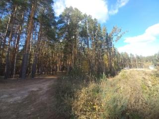 1-этажный дом, 20 м², 6 соток