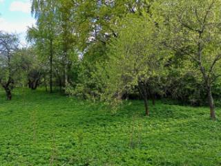 1-этажный дом, 40 м², 15 соток