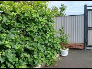 1-этажный дом, 90 м², 12 соток