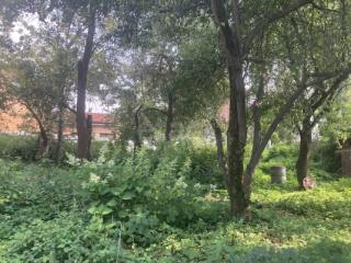 1-этажный дом, 90.2 м², 6 соток