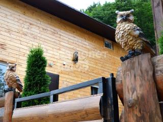 2-этажный дом, 600 м², 20 соток