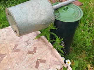  коттедж, 50 м², 10 соток