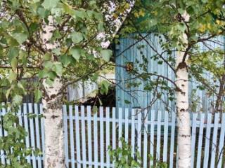 1-этажный дом, 30 м², 7 соток