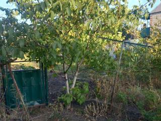  коттедж, 10 м², 8 соток