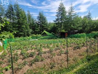 1-этажный дом, 45 м², 17 соток