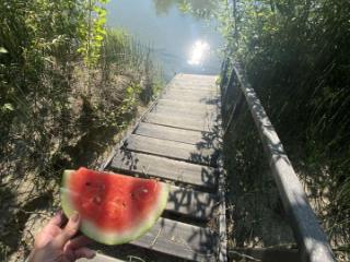 1-этажный дом, 60 м², 10 соток