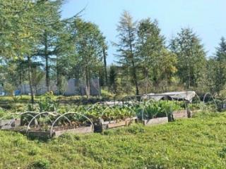 2-этажный дом, 58.6 м², 14 соток