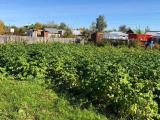  дом, 30 м², 6 соток