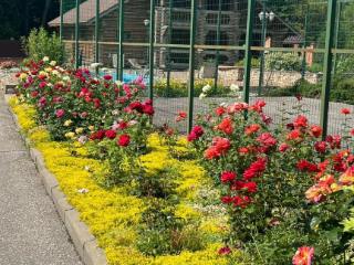  дом, 371 м², 42.5 сотки