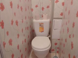 1-комн. квартира, 30 м², 1/5 этаж