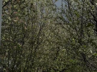  дом, 71.6 м², 7.8 соток