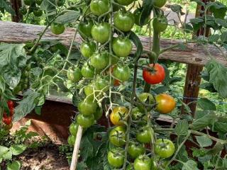  коттедж, 30 м², 6 соток