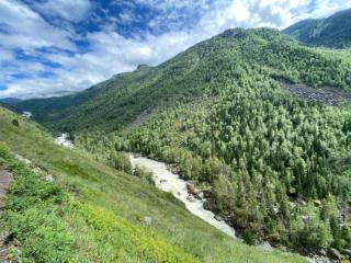 1-этажный дом, 80 м², 25 соток