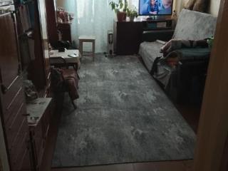 2-комн. квартира, 43.9 м², 2/2 этаж