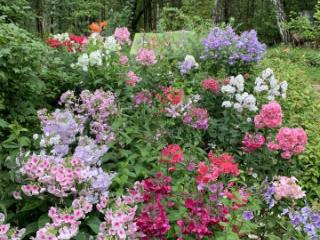 1-этажный дом, 60 м², 4 сотки