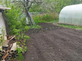  дом, 40 м², 12 соток