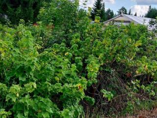  коттедж, 60 м², 10 соток