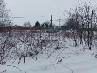 1-этажный дом, 24.2 м², 10.6 соток