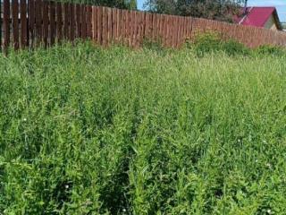  дом, 40 м², 13.3 соток